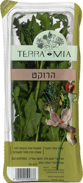 רוקט ארוז terra mia