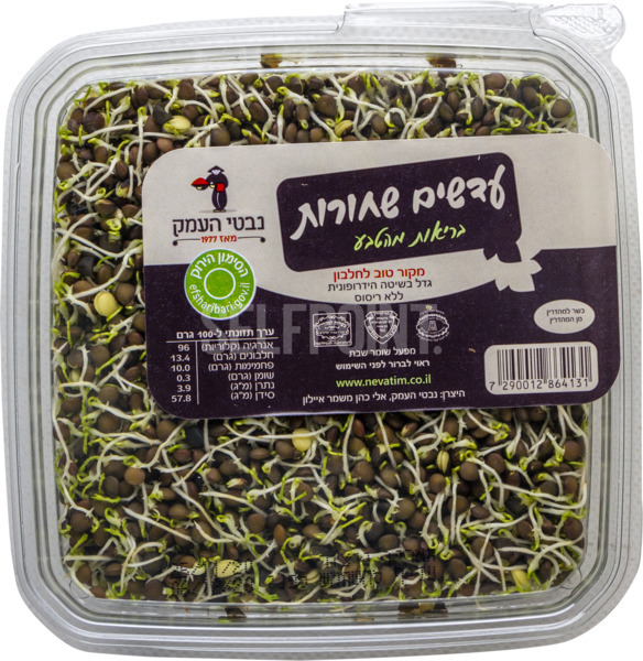 עדשים שחורות בריאות מהטבע