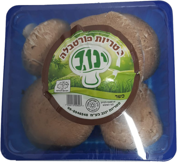 פטריות פורטבלה