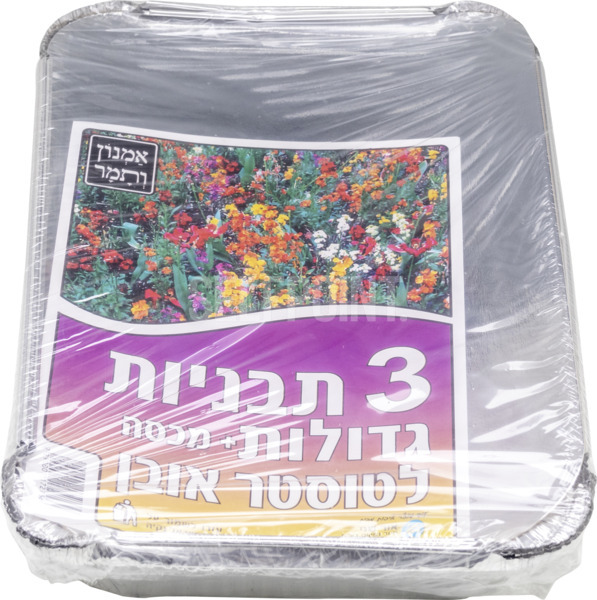 תבניות ומכסה