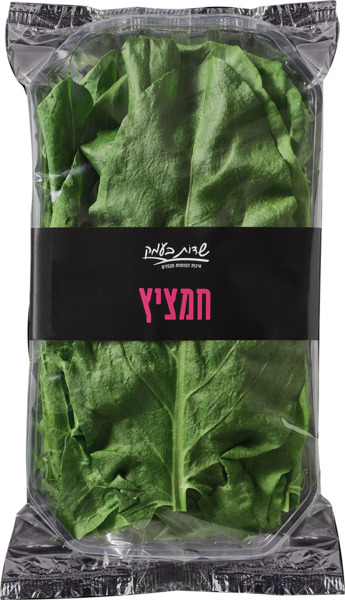 חמציץ שדות בעמק