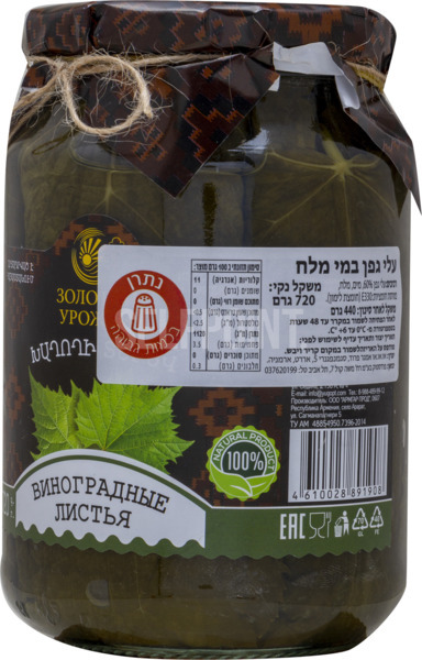 עלי גפן במי מלח
