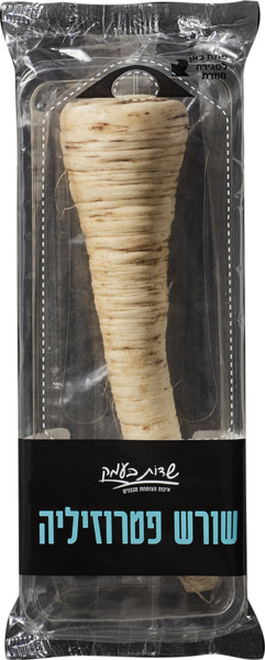 שורש פטרוזיליה -שדות