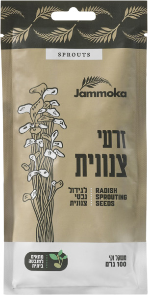 זרעי צנונית