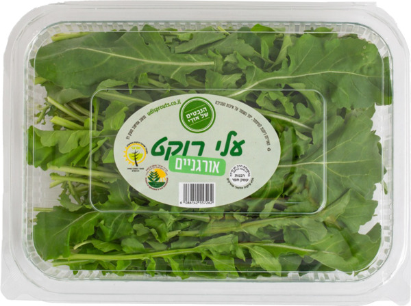 עלי רוקט אורגנים 120 גרם הנבטים של אודי