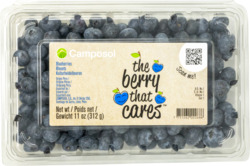 Blueberries, 1 Pint Camposol
