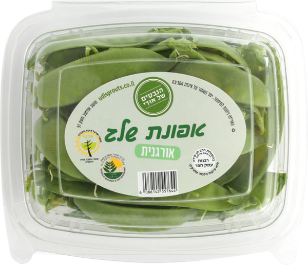 אפונת שלג אורגנית כ- 150 גרם הנבטים של אודי