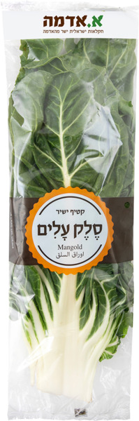 מנגולד עלי סלק א.אדמ