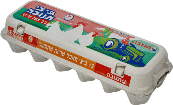 תנובה ביצים Mרגילות