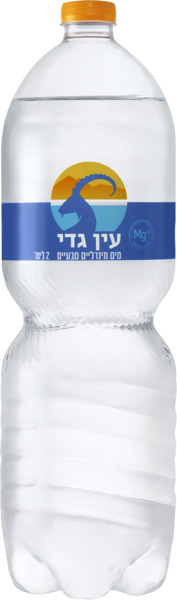 מים מינרליים עין גדי 2 ל' בודד