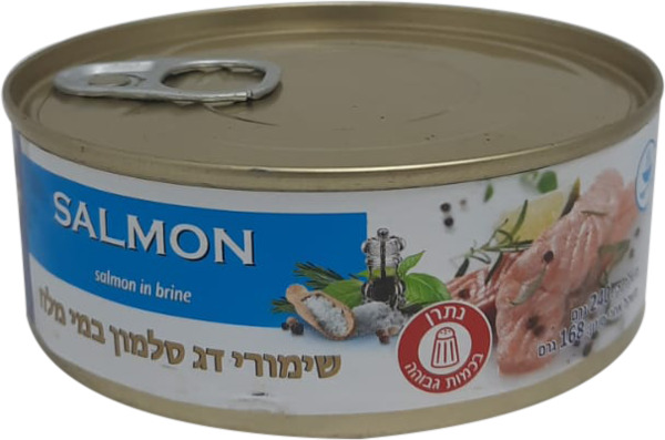 דג סלמון במי מלח 240 גר