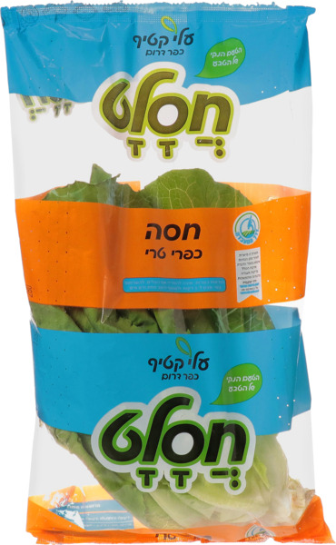 חסה ערבית חסלט כשר )ק(