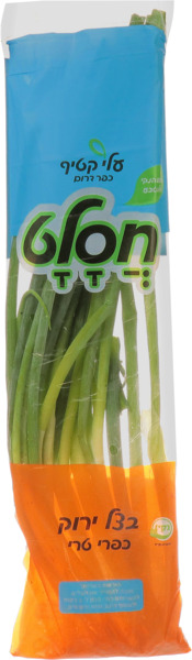 בצל ירוק(שקית ) חסלט