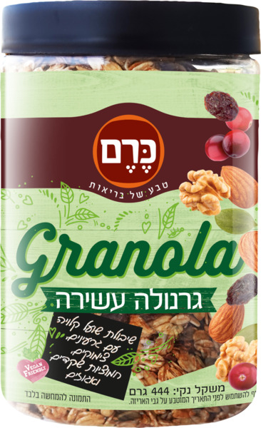 גרנולה עשירה שיבולת שועל קלויה  עם גרעינים צימוקים חמוציות שקדים ואגוזים