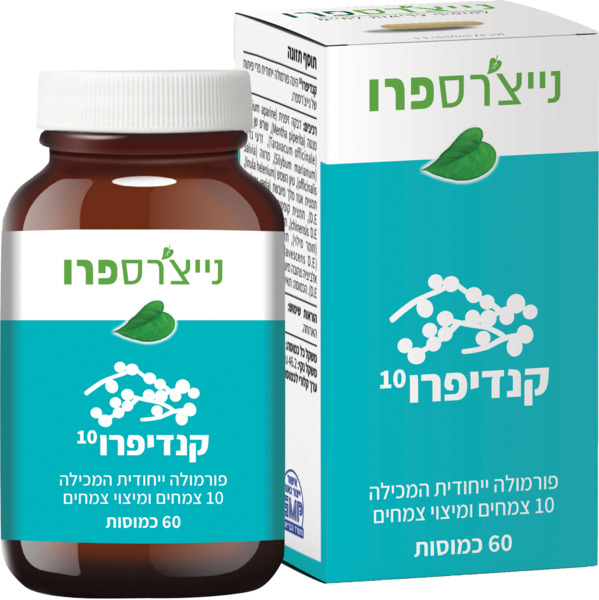 קנדיפרו