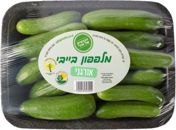 מלפפון בייבי אורגני