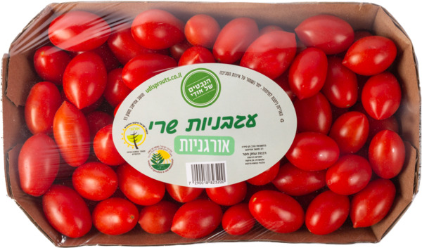 עגבניות שרי אורגניות