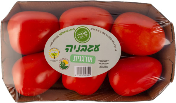 עגבניה אורגני הנבטים של אודי
