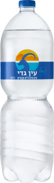 מים עין גדי 2 ליטר