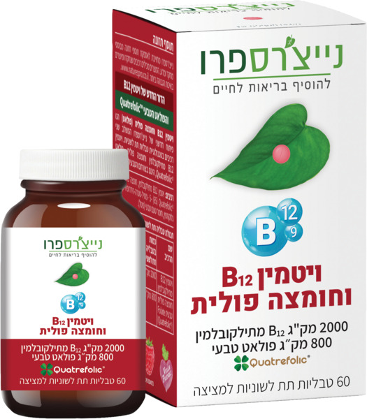 ויטמין B12 וחומצה פולית