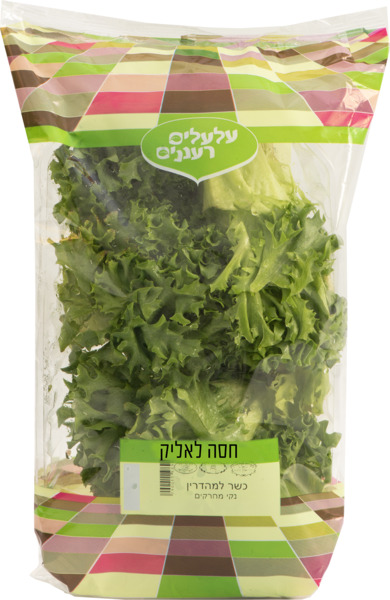 חסה לאליק ארוזה