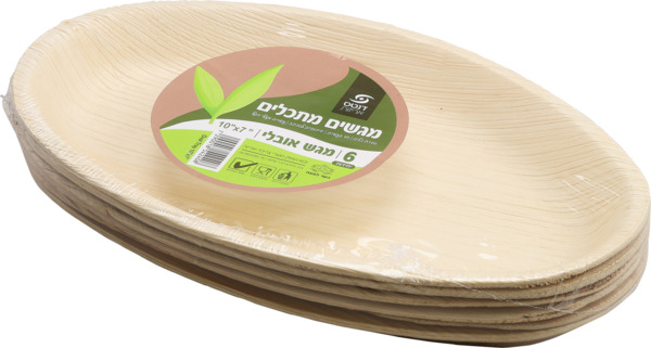 מגשים מתכלים