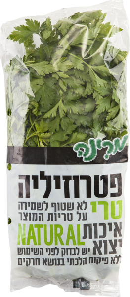 שסק