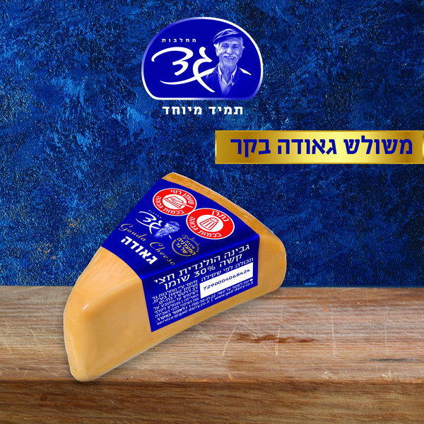 גאודה בקר משולש במשקל