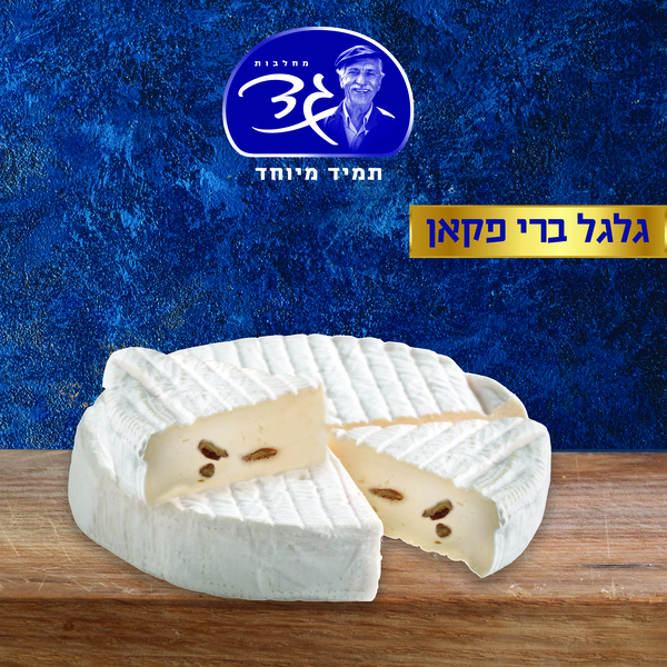 גבינת ברי פקאן במשקל