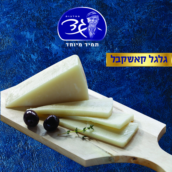 גלגל קאשקבל