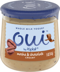 Creamy Mocha & Chocolate Yogurt