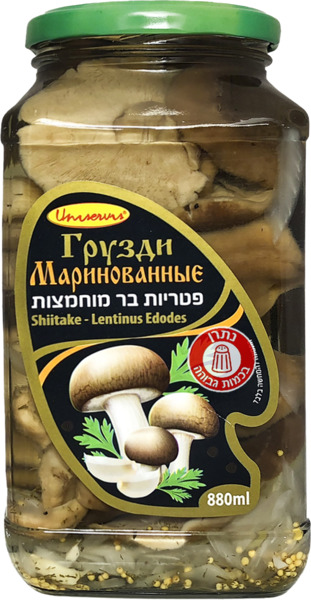 פטריות בר מוחמצות