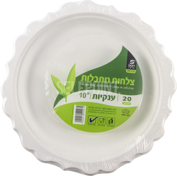 צלחות מתכלות ענקיות