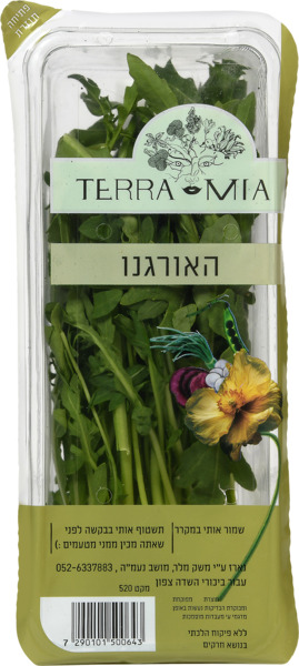 אורגנו ארוז