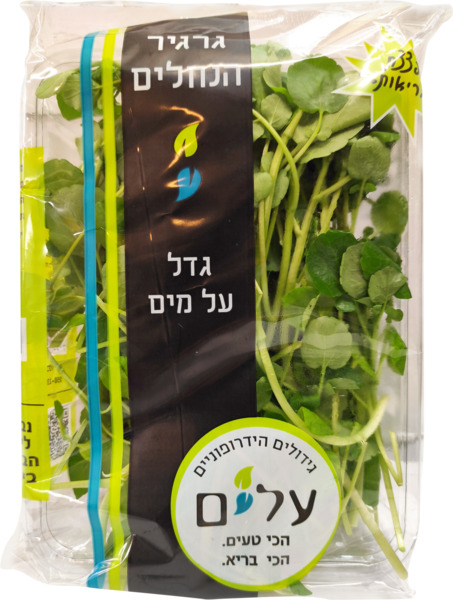 גרגיר הנחלים