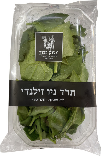 תרד ניו זילנדי