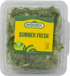Summer Fresh Lettuce Leaves