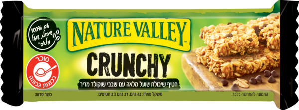 חטיף שיבולת שועל עם שבבי שוקולד מריר