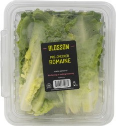 Ready To Eat Romaine