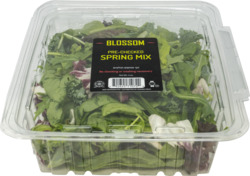 Pre Checked Spring Mix