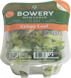 Mehadrin Crispy Leaf Lettuce