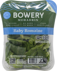 Baby Romaine Lettuce