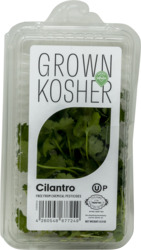 Cilantro