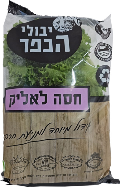 חסה לאליק