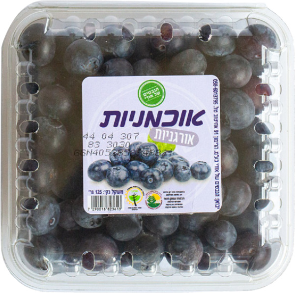 אוכמניות טריות אורגניות 125 גרם הנבטים של אודי