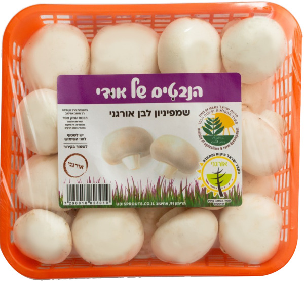 פטריות שמפניון לבן אורגנ