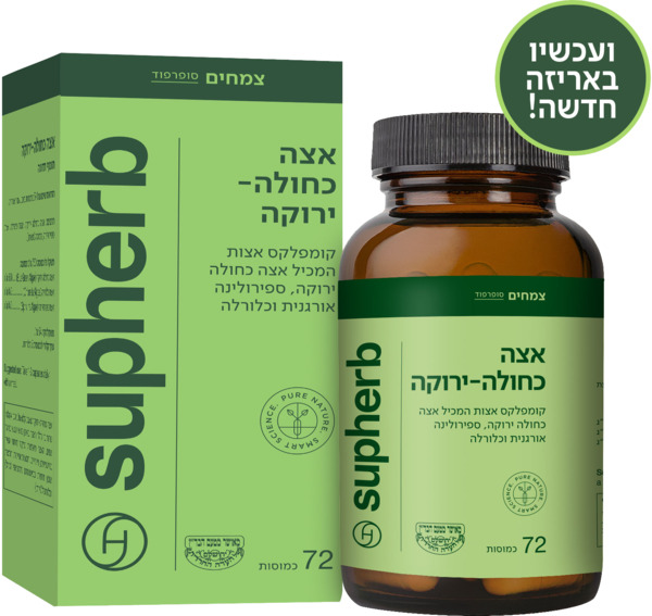אצה כחולה ירוקה
