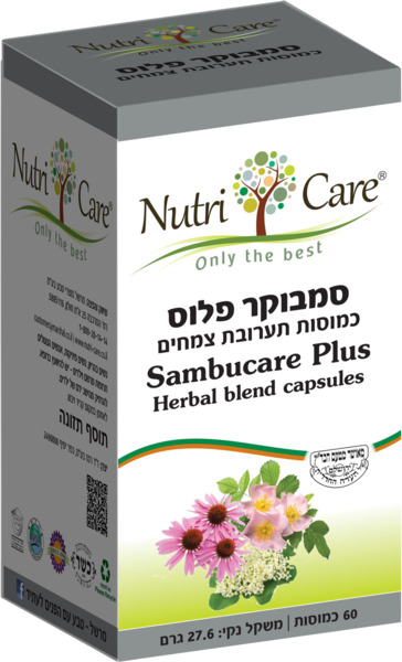 סמבוקר פלוס