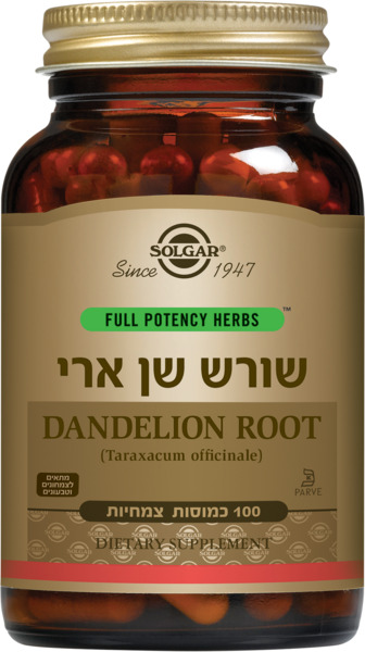 שורש שן ארי