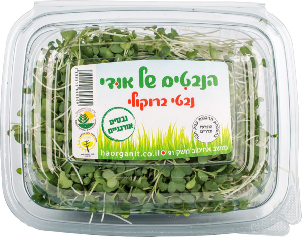 נבטי ברוקולי 100 גרם